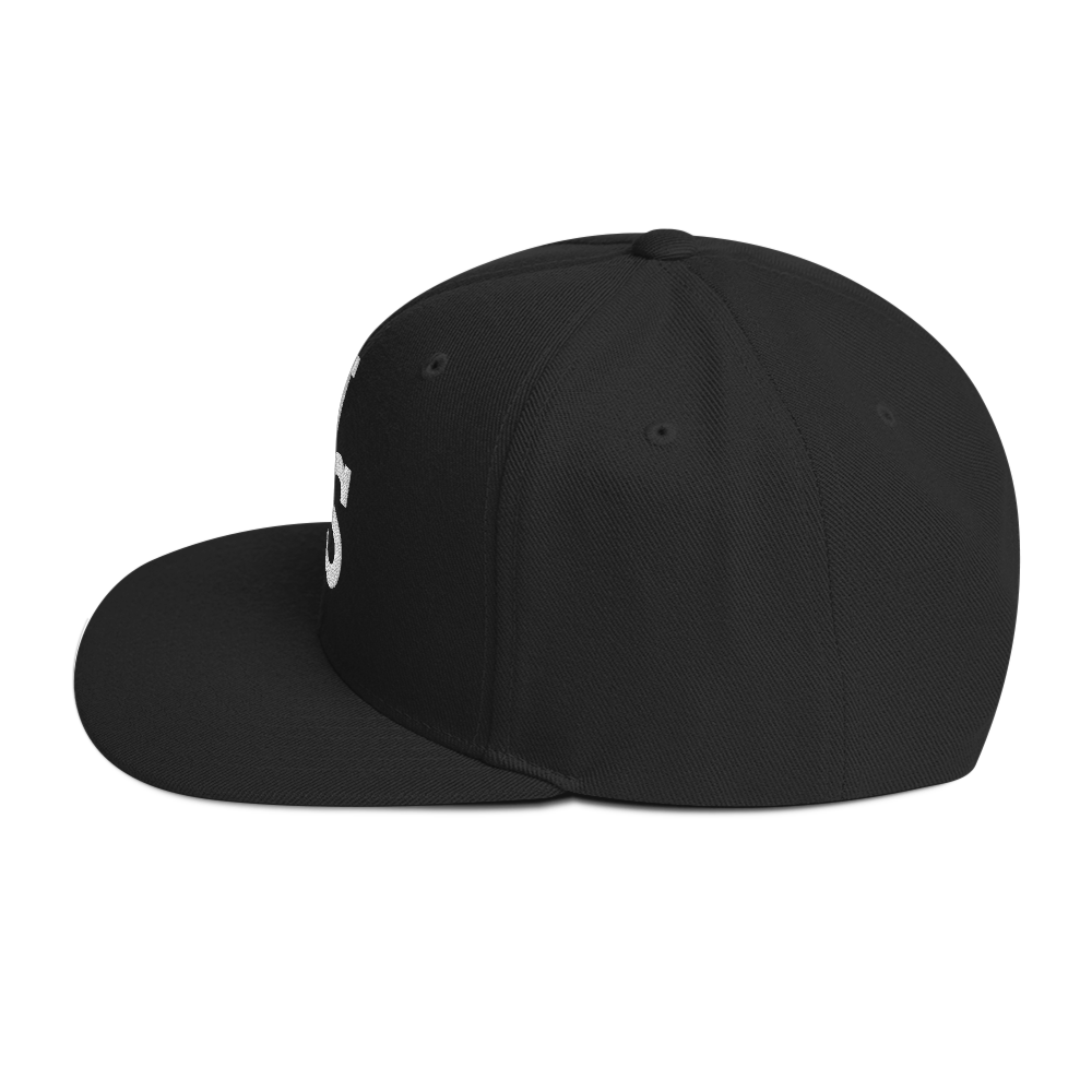 Us stars trucker Hat
