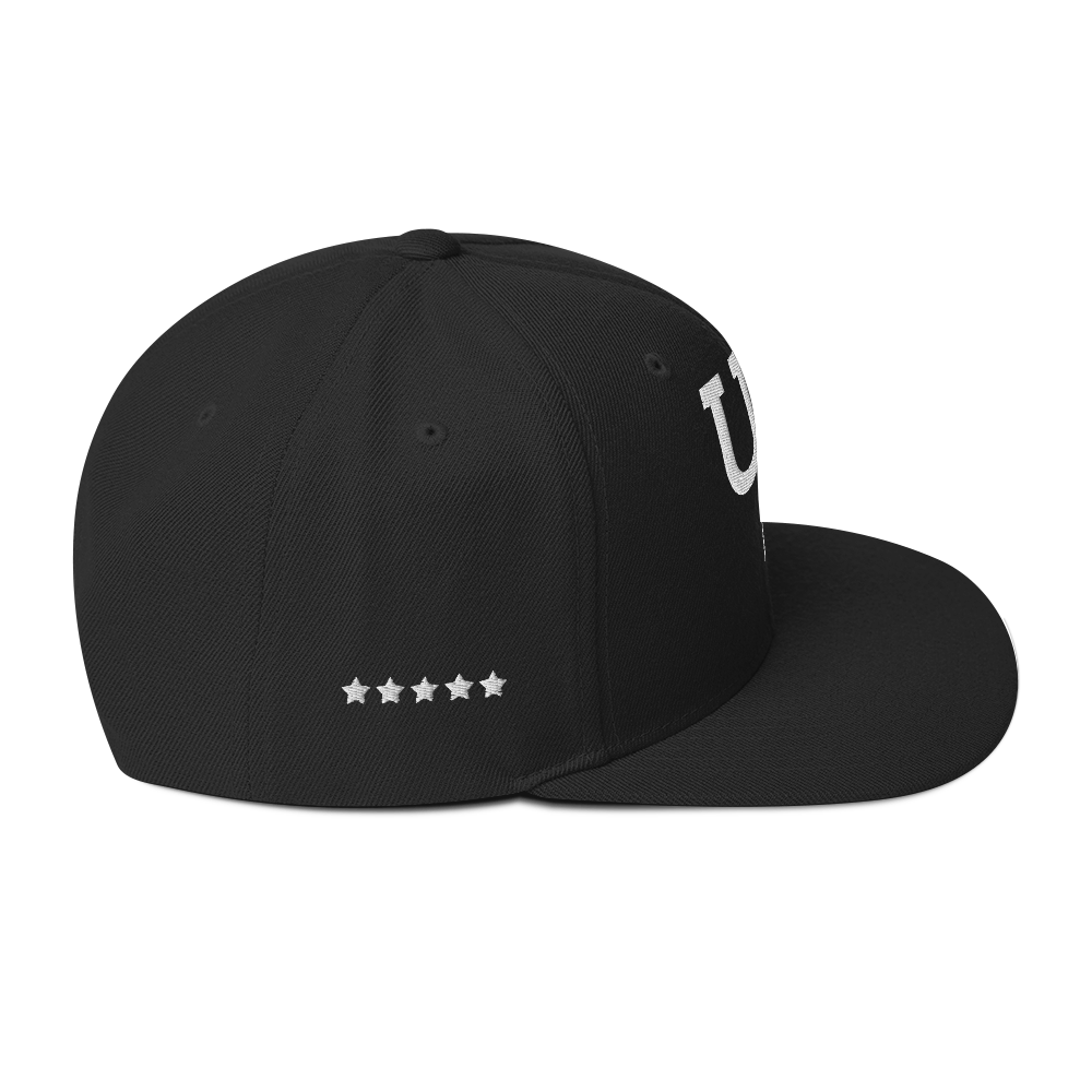 Us stars trucker Hat