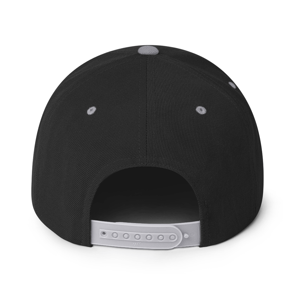 Us stars trucker Hat