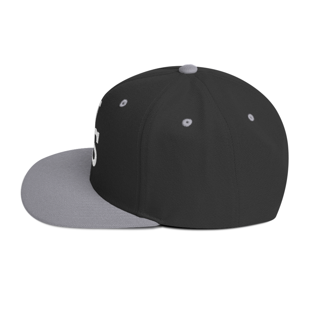 Us stars trucker Hat