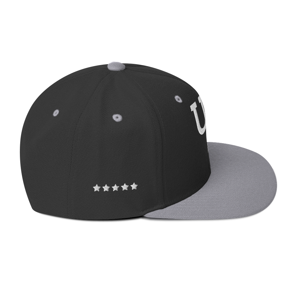 Us stars trucker Hat