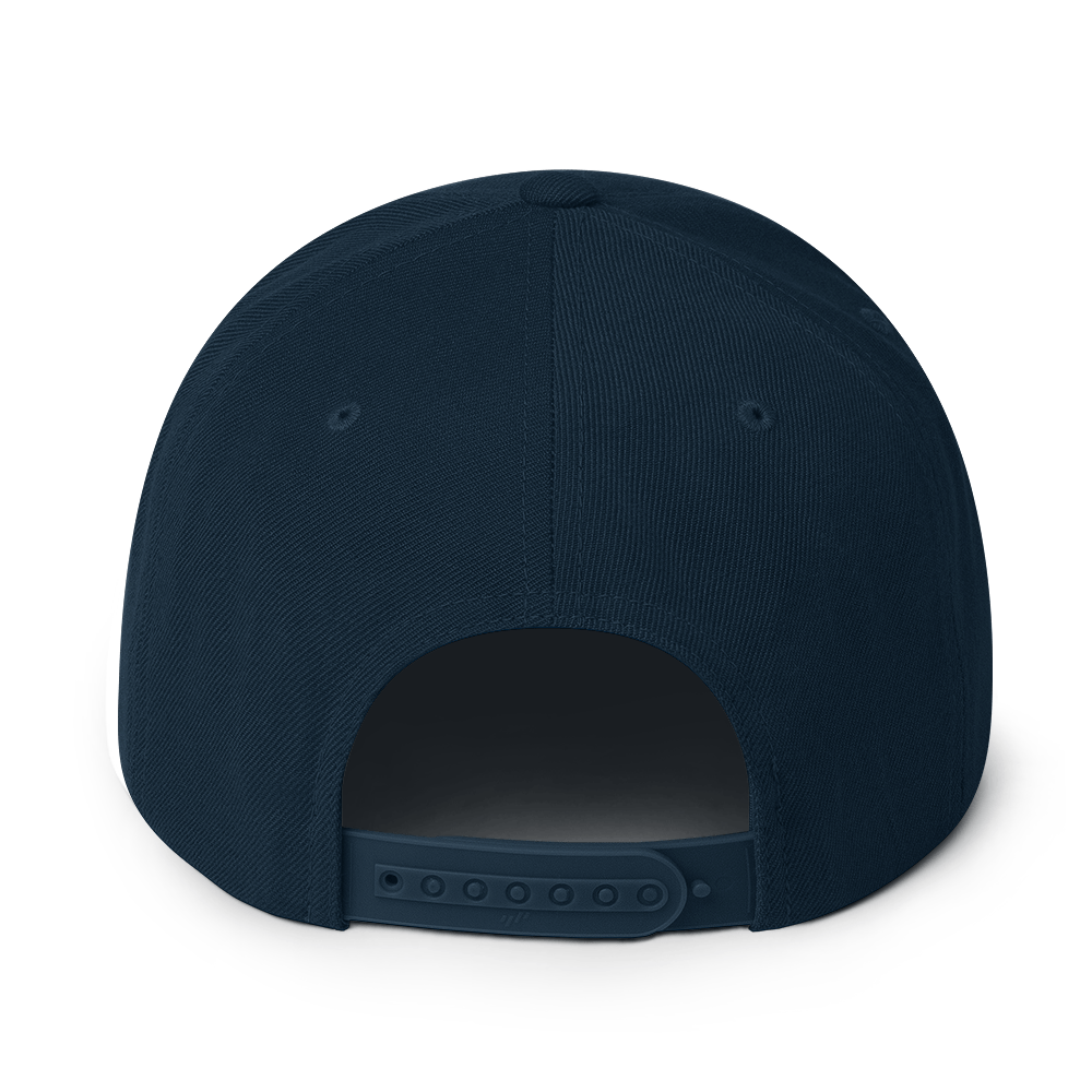 Us stars trucker Hat