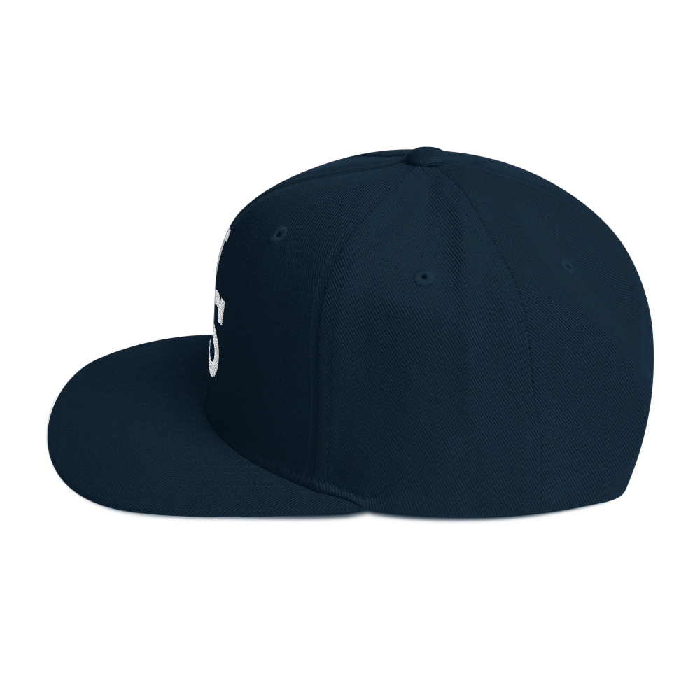 Us stars trucker Hat