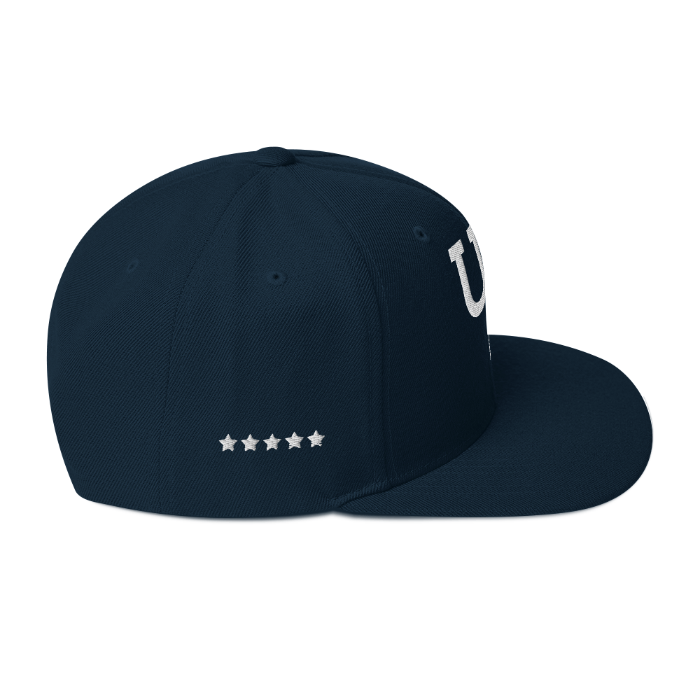 Us stars trucker Hat