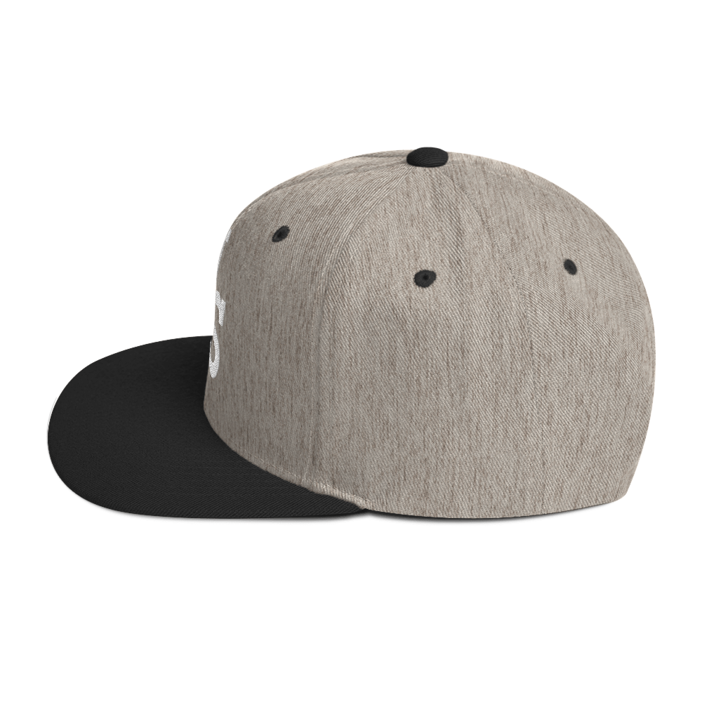 Us stars trucker Hat
