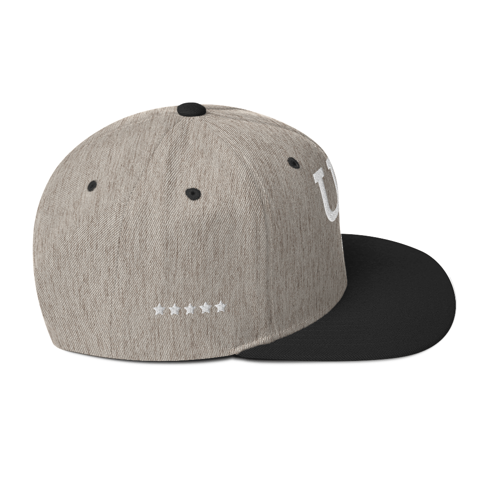 Us stars trucker Hat