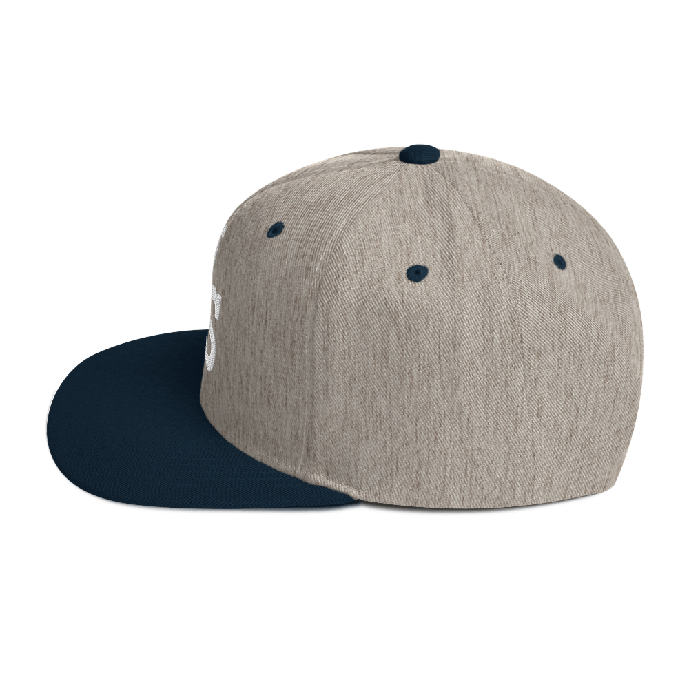 Us stars trucker Hat