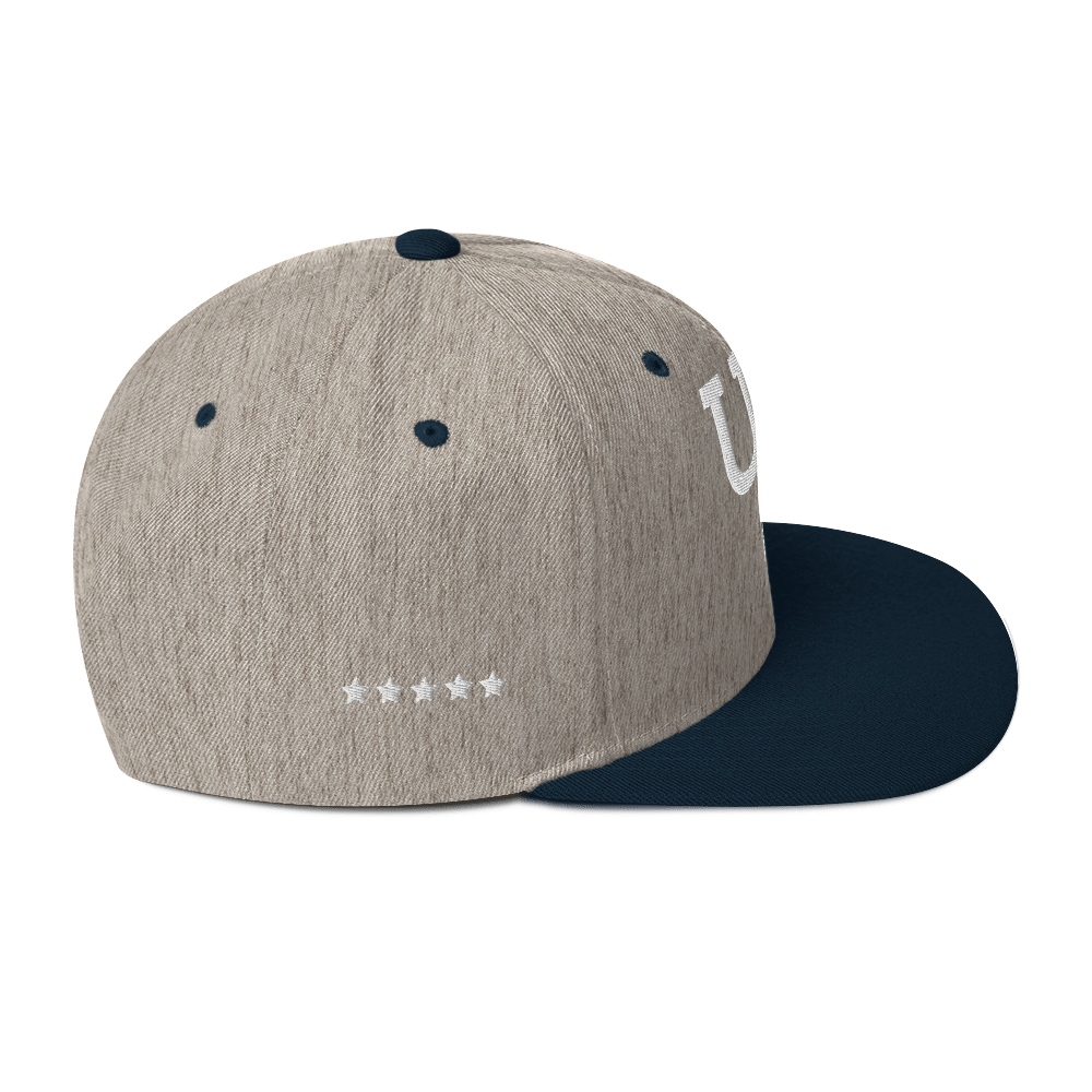 Us stars trucker Hat
