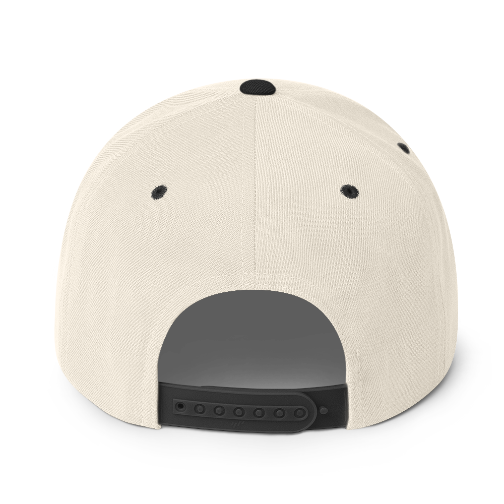 Us stars trucker Hat