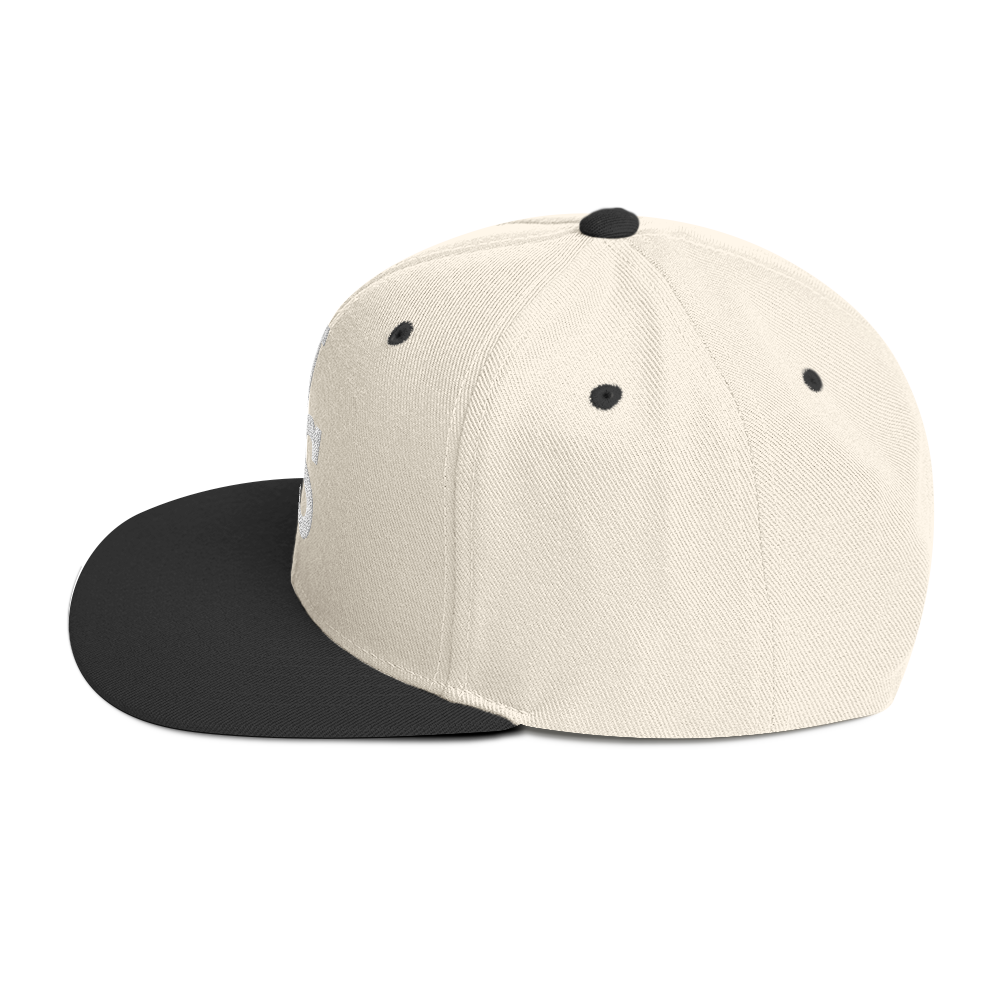 Us stars trucker Hat