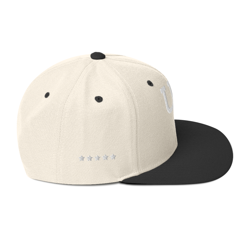 Us stars trucker Hat