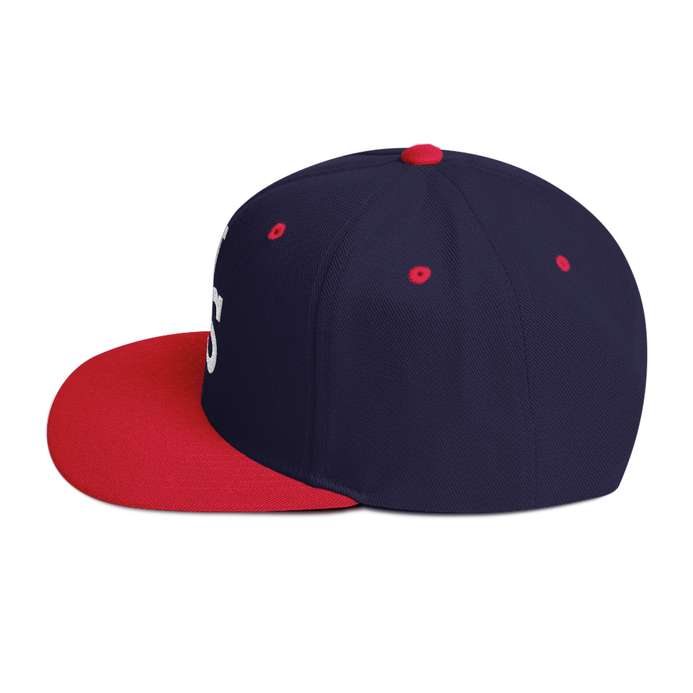 Us stars trucker Hat