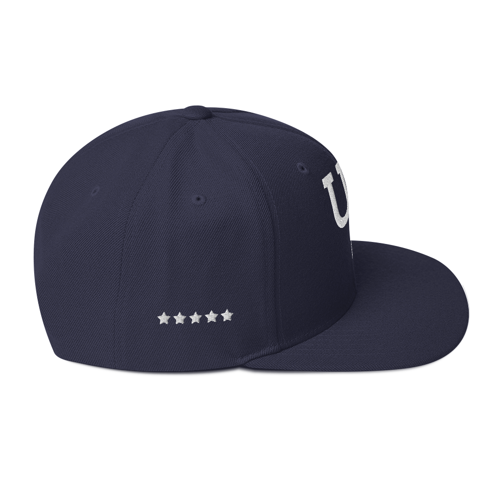 Us stars trucker Hat