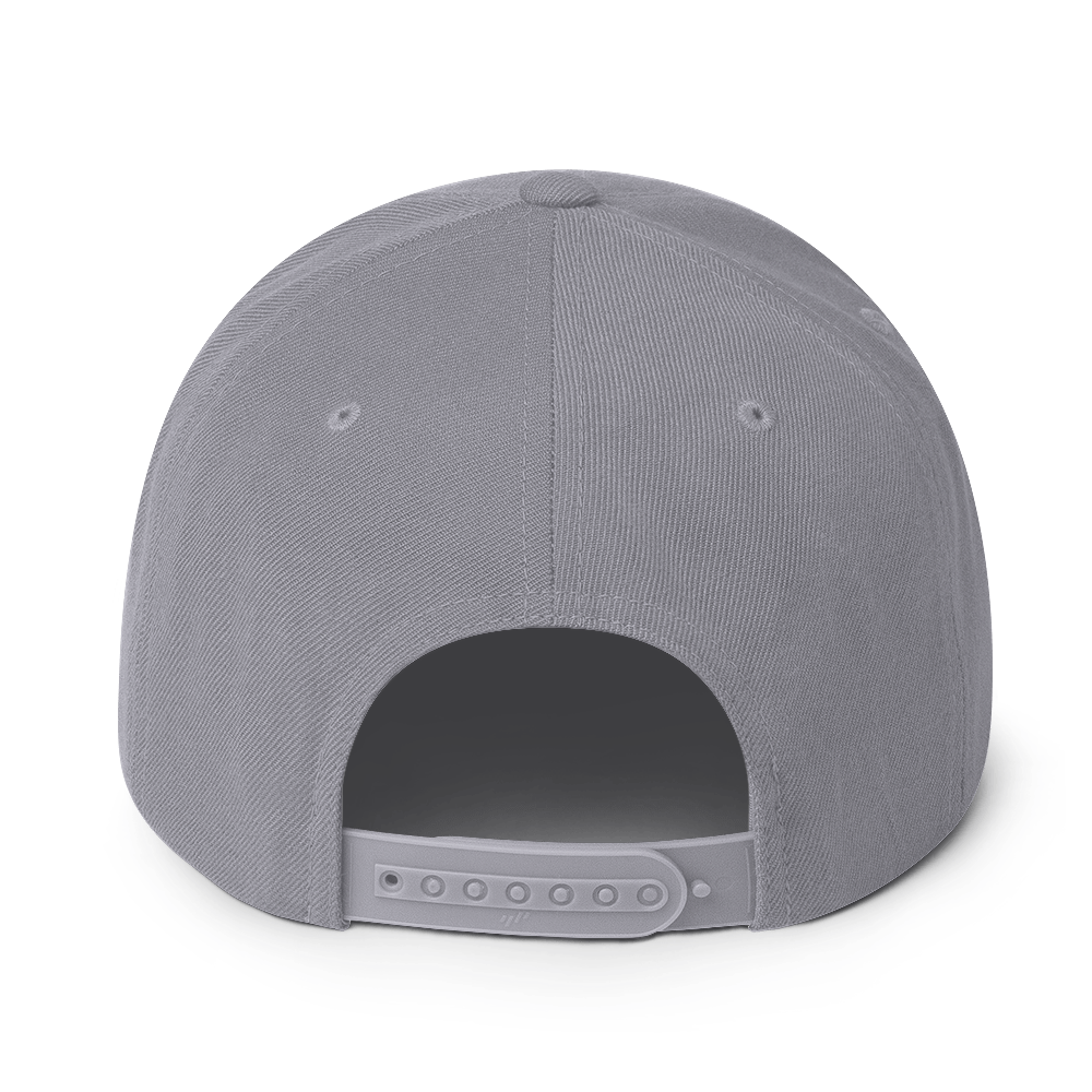 Us stars trucker Hat