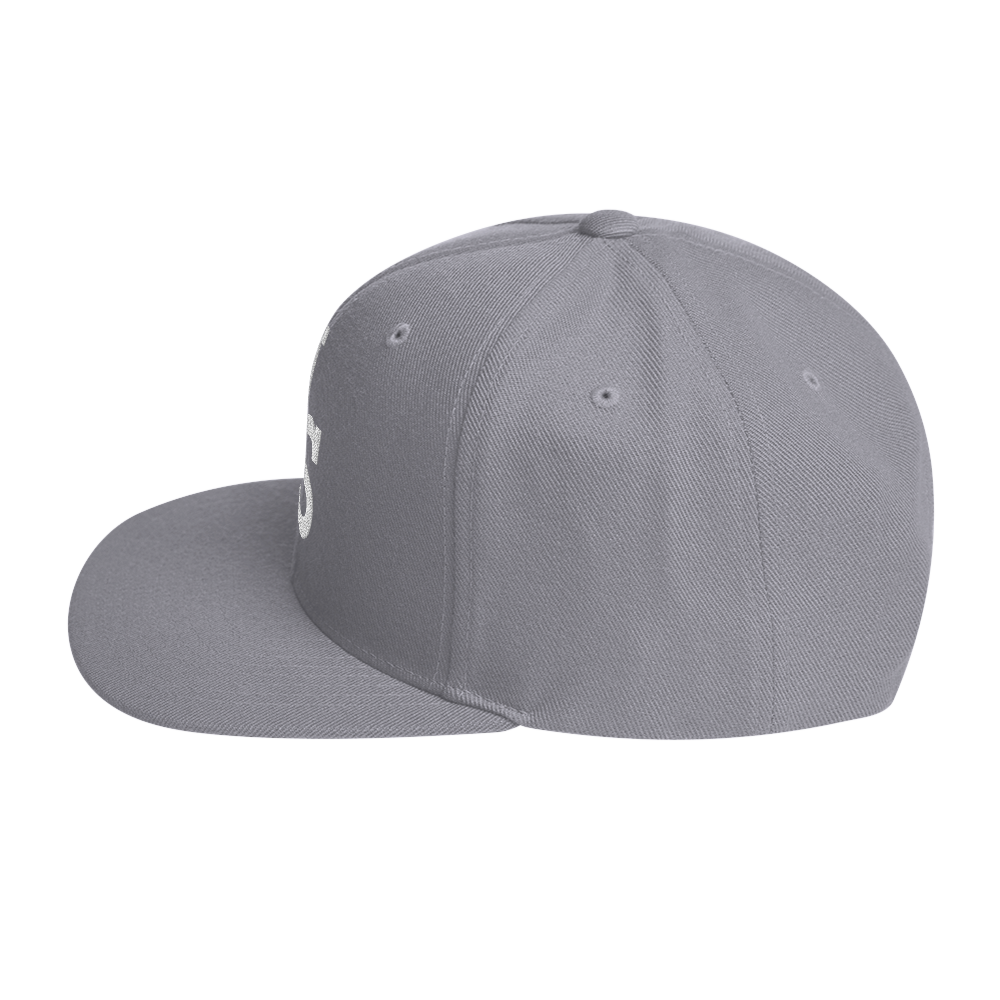 Us stars trucker Hat