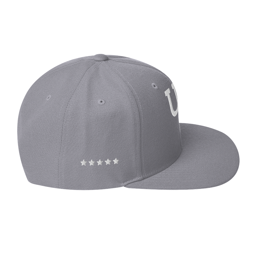 Us stars trucker Hat