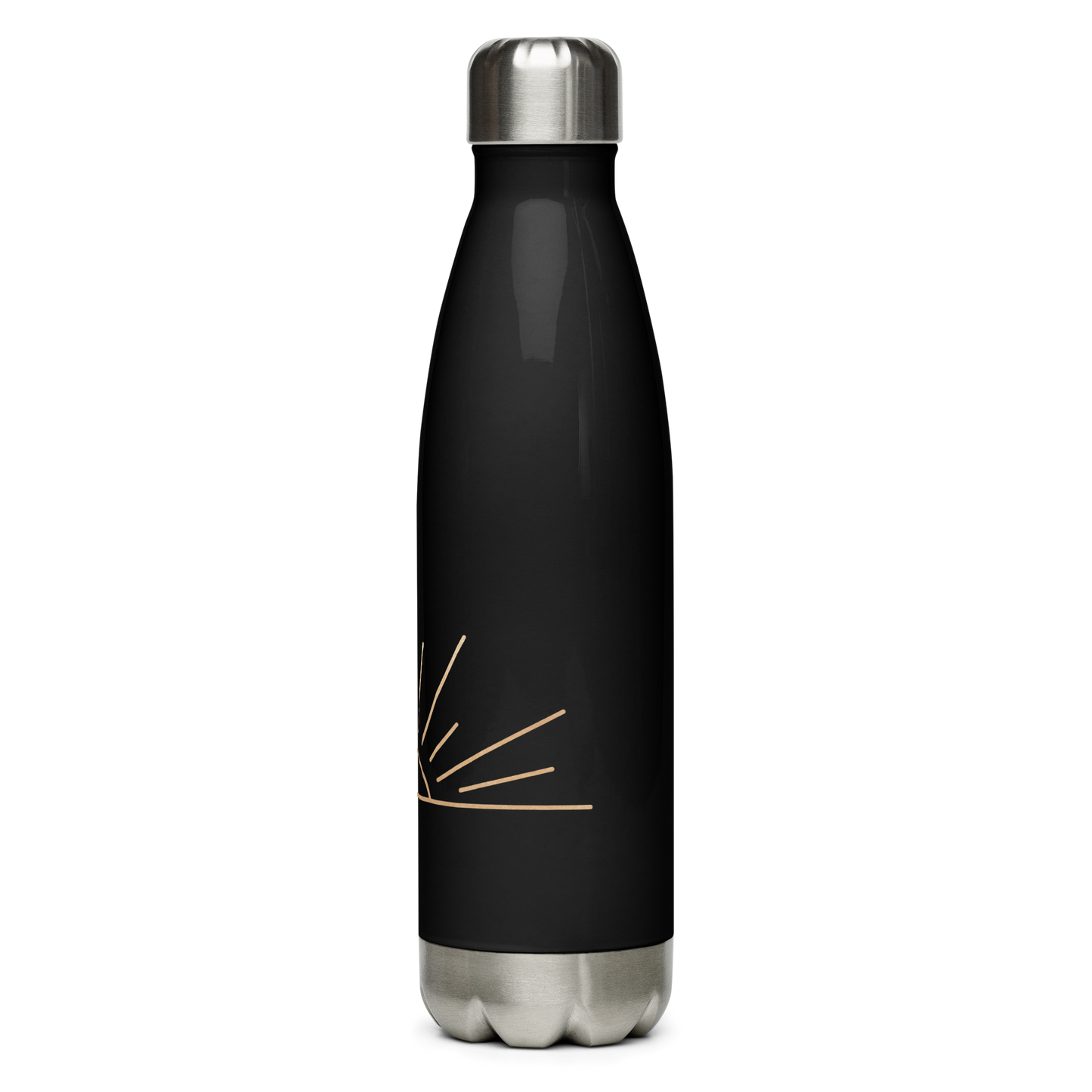 Stainless steel water bottle